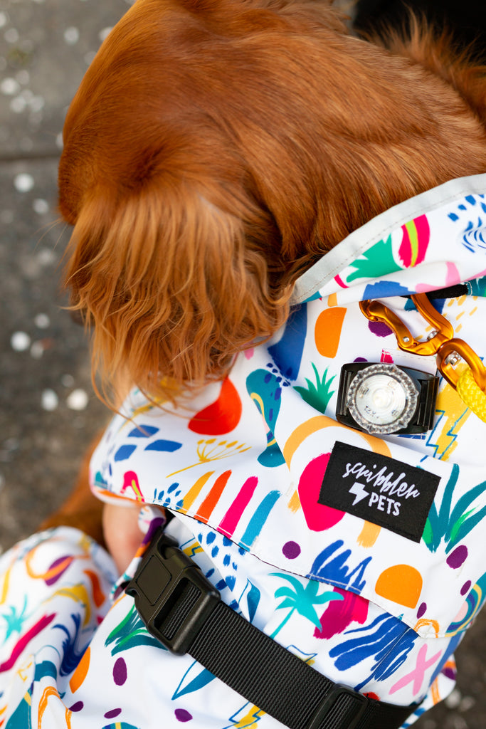 Scribbler pets, waterproof raincoat for dogs, rain jacket for dog, outerwear for dogs, waterproof, seam sealed, recycled plastic, abstract print, colourful, printed rainwear for pets, lightweight, harness access, collar access, light attachment, sustainable