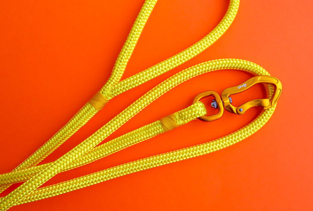 Woofo yellow dog leash, dog lead, pet accessories, match with Scribbler Pets waterproof pets coats