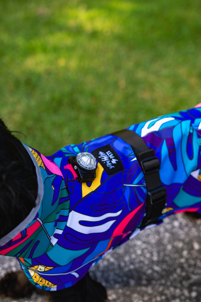 Scribbler pets, waterproof raincoat for dogs, rain jacket for dog, outerwear for dogs, waterproof, seam sealed, recycled plastic, jungle print, unisex, printed rainwear for pets, lightweight, light attachment, no velcro, sustainable