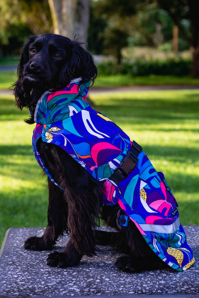 Scribbler pets, waterproof raincoat for dogs, rain jacket for dog, outerwear for dogs, waterproof, seam sealed, recycled plastic, jungle print, unisex, printed rainwear for pets, lightweight, no velcro, sustainable