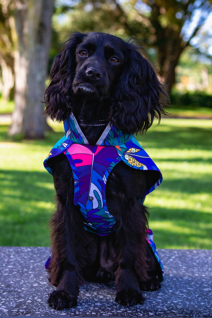 Scribbler pets, waterproof raincoat for dogs, rain jacket for dog, outerwear for dogs, waterproof, seam sealed, recycled plastic, jungle print, unisex, printed rainwear for pets, lightweight, sustainable