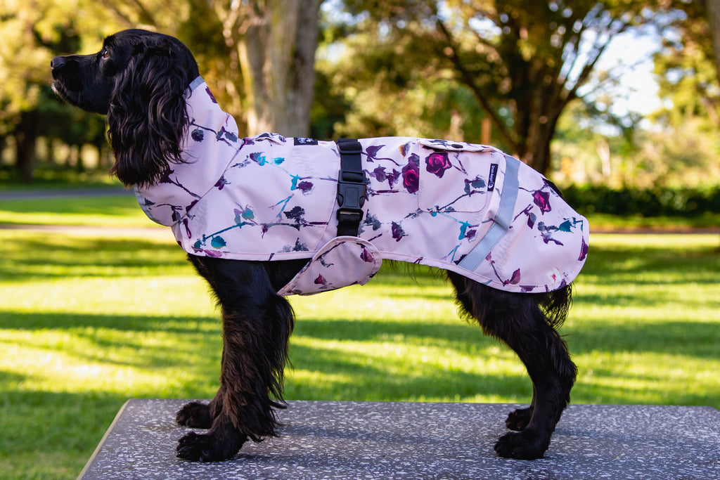 Scribbler pets, waterproof raincoat for dogs, rain jacket for dog, outerwear for dogs, waterproof, seam sealed, recycled plastic, floral print, floral blush pink, printed rainwear for pets, lightweight, reflective strip, sustainable