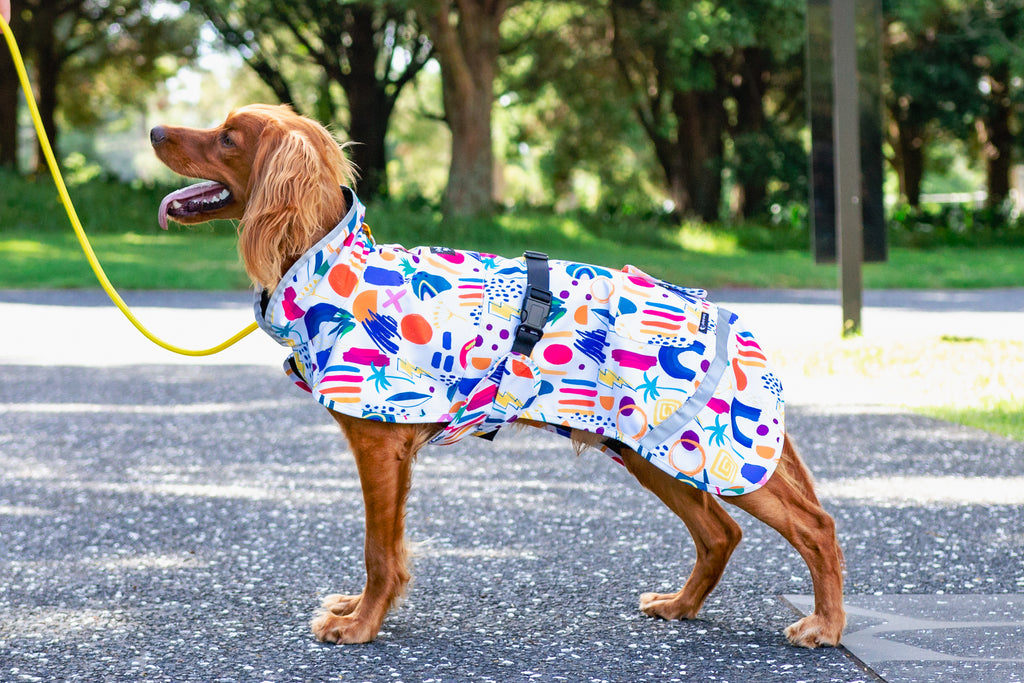Scribbler pets, waterproof raincoat for dogs, rain jacket for dog, outerwear for dogs, waterproof, seam sealed, recycled plastic, abstract print, colourful, printed rainwear for pets, lightweight, sustainable