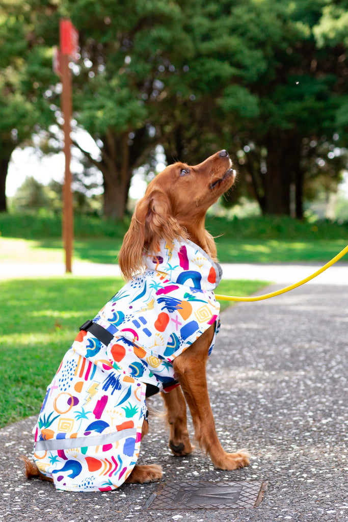 Scribbler pets, waterproof raincoat for dogs, rain jacket for dog, outerwear for dogs, waterproof, seam sealed, recycled plastic, abstract print, colourful, printed rainwear for pets, lightweight, sustainable