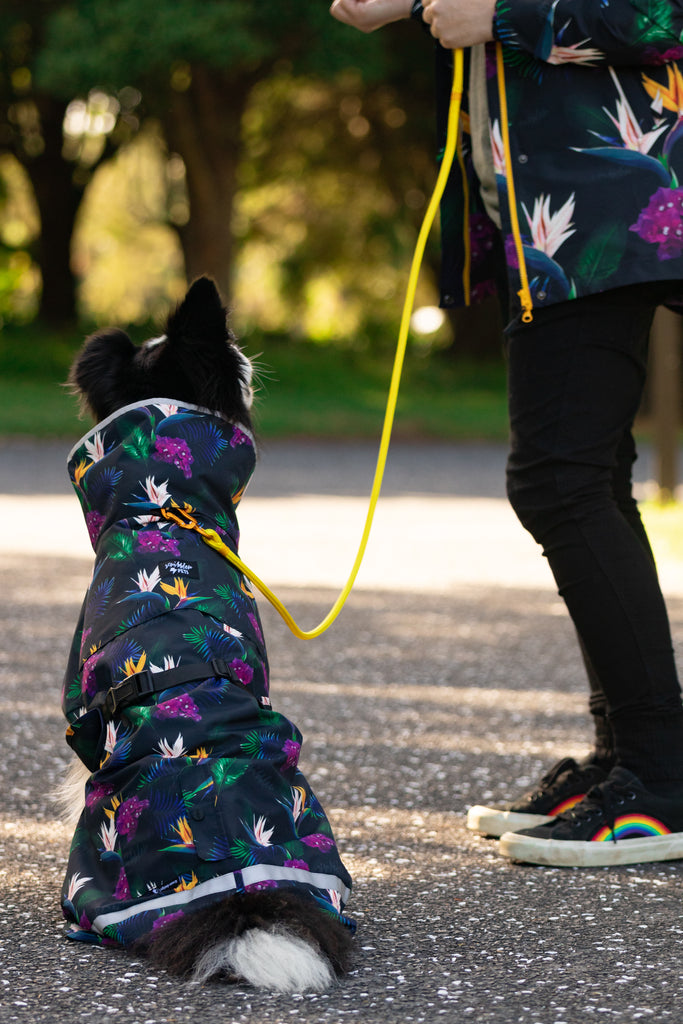 Scribbler pets, waterproof raincoat for dogs, rain jacket for dog, outerwear for dogs, waterproof, seam sealed, recycled plastic, tropical print, bird of paradise, colourful, printed rainwear for pets, lightweight