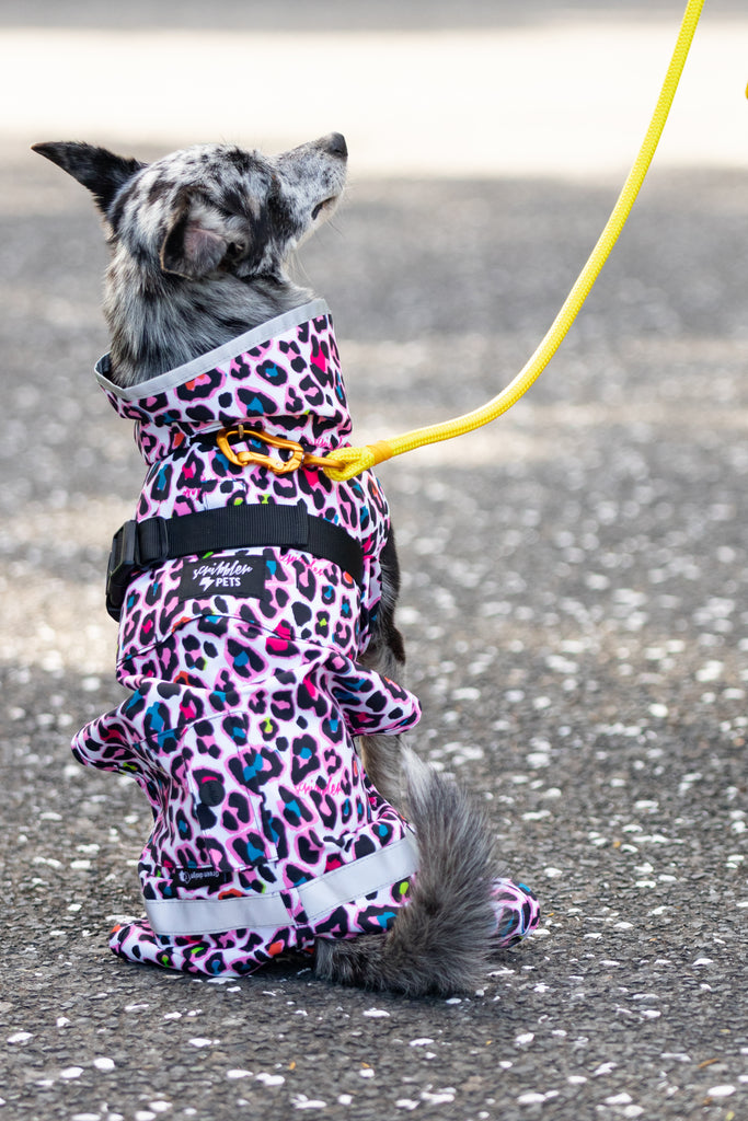 Scribbler pets, waterproof raincoat for dogs, rain jacket for dog, outerwear for dogs, waterproof, seam sealed, recycled plastic, neon leopard print, colourful, printed rainwear for pets, lightweight