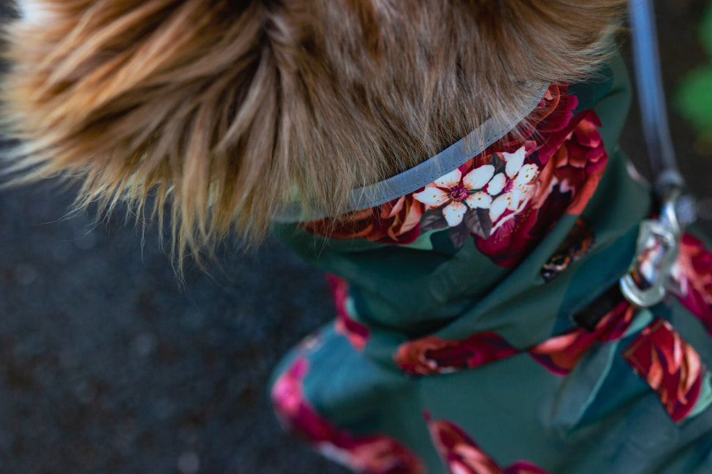 Scribbler pets, waterproof raincoat for dogs, rain jacket for dog, outerwear for dogs, waterproof, seam sealed, recycled plastic, floral print, peony, colourful, printed rainwear for pets, lightweight, sustainable