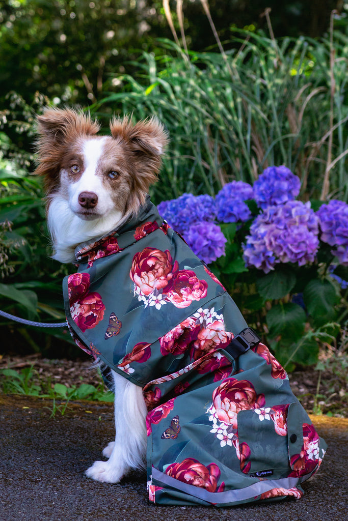 Scribbler pets, waterproof raincoat for dogs, rain jacket for dog, outerwear for dogs, waterproof, seam sealed, recycled plastic, floral print, peony, colourful, printed rainwear for pets, lightweight, sustainable